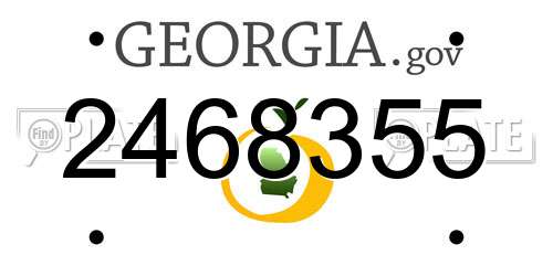 2468355 Georgia License Plate