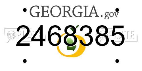 2468385 Georgia License Plate