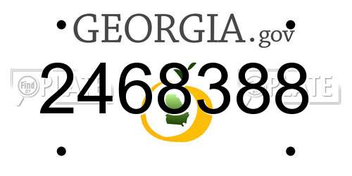 2468388 Georgia License Plate