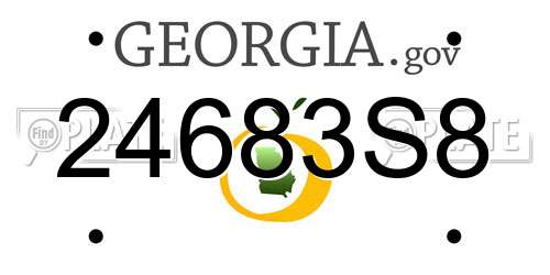 24683S8 Georgia License Plate