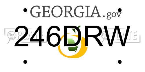 246DRW Georgia License Plate
