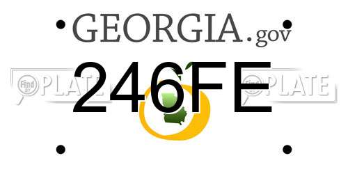246FE Georgia License Plate