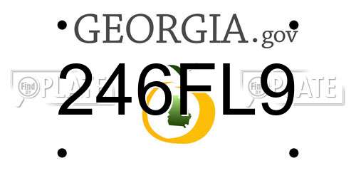 246FL9 Georgia License Plate