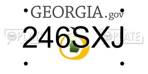 246SXJ Georgia License Plate
