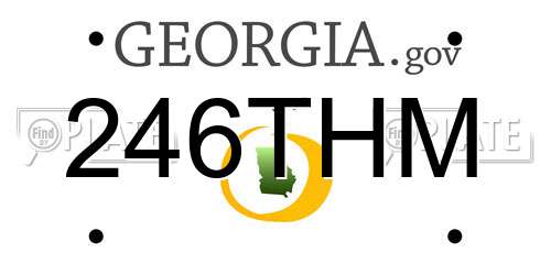 246THM Georgia License Plate
