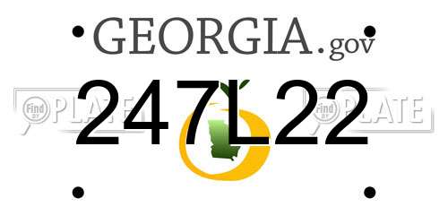 247L22 Georgia License Plate