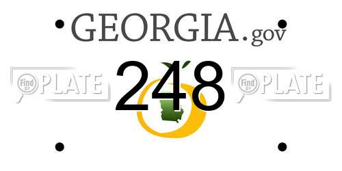 248 Georgia License Plate