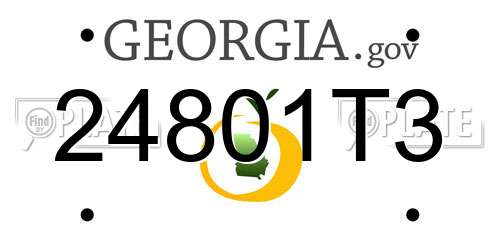 24801T3 Georgia License Plate