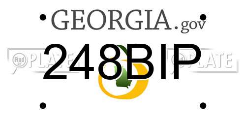 248BIP Georgia License Plate
