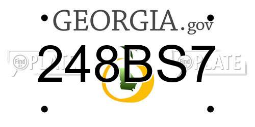 248BS7 Georgia License Plate