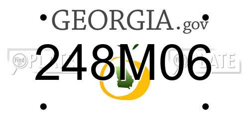 248M06 Georgia License Plate