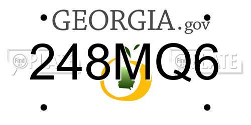 248MQ6 Georgia License Plate