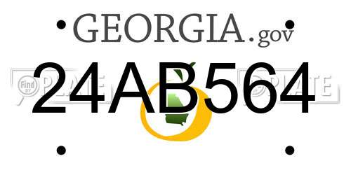 24AB564 Georgia License Plate