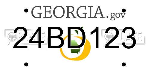 24BD123 Georgia License Plate