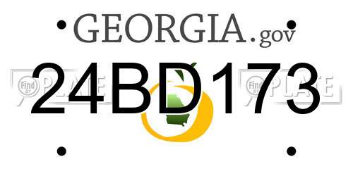 24BD173 Georgia License Plate