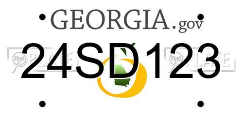 24SD123 Georgia License Plate
