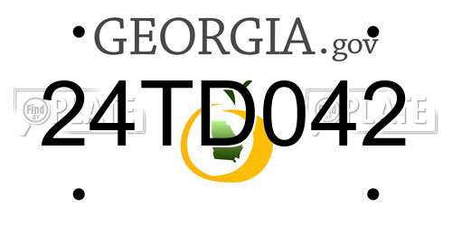 24TD042 Georgia License Plate