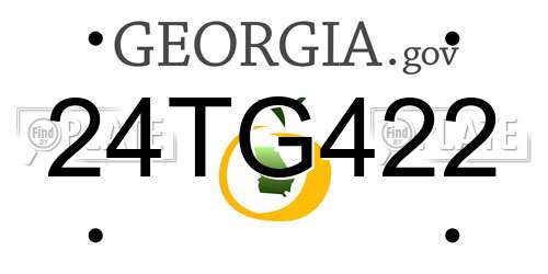 24TG422 Georgia License Plate