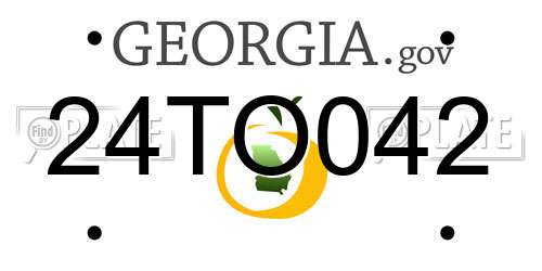 24TO042 Georgia License Plate