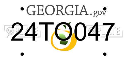 24TO047 Georgia License Plate