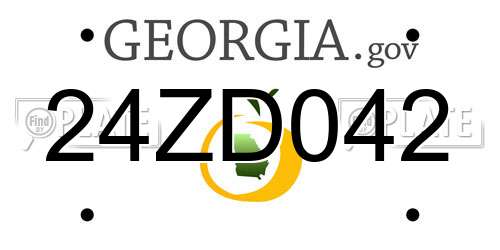 24ZD042 Georgia License Plate