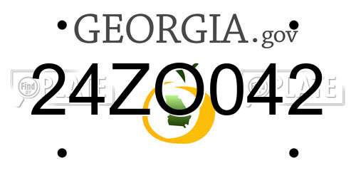 24ZO042 Georgia License Plate