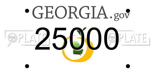 25000 Georgia License Plate