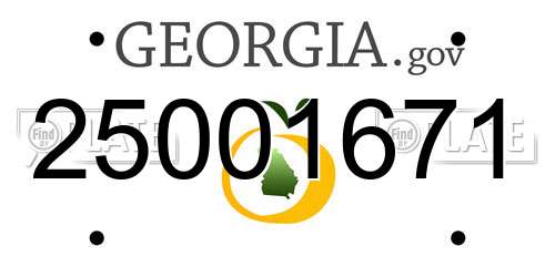 25001671 Georgia License Plate