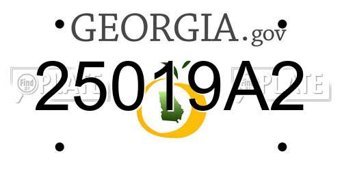 25019A2 Georgia License Plate
