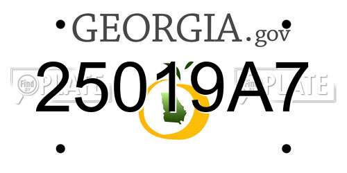 25019A7 Georgia License Plate