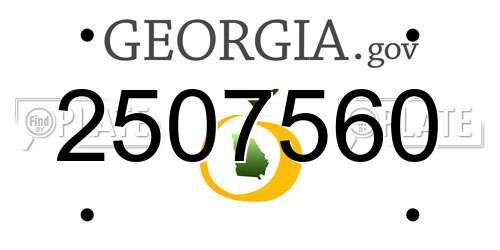 2507560 Georgia License Plate