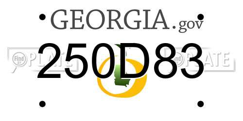 250D83 Georgia License Plate