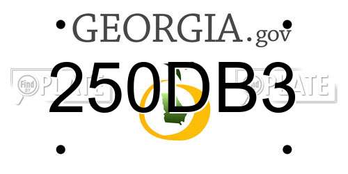 250DB3 Georgia License Plate