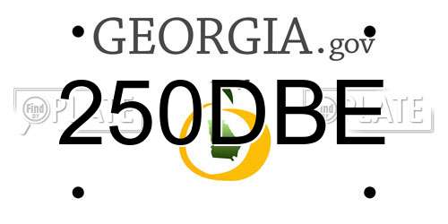 250DBE Georgia License Plate