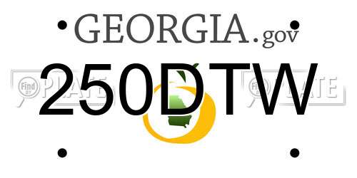 250DTW Georgia License Plate