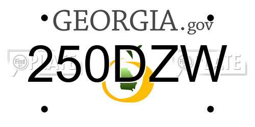 250DZW Georgia License Plate