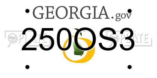 250OS3 Georgia License Plate