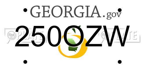 250OZW Georgia License Plate