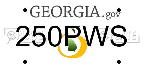 250PWS Georgia License Plate
