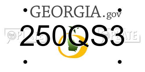 250QS3 Georgia License Plate
