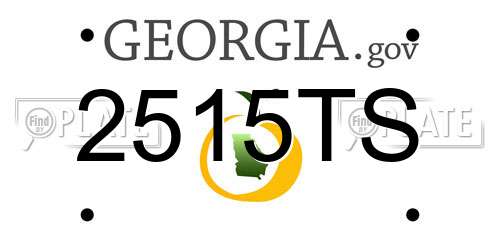 2515TS Georgia License Plate