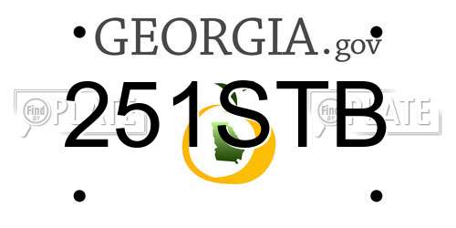 251STB Georgia License Plate
