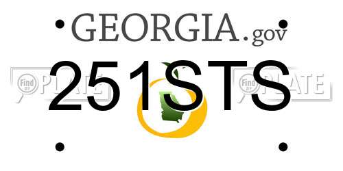 251STS Georgia License Plate