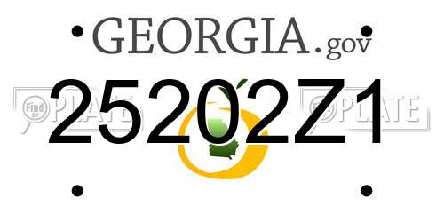 25202Z1 Georgia License Plate