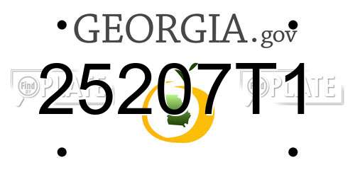 25207T1 Georgia License Plate