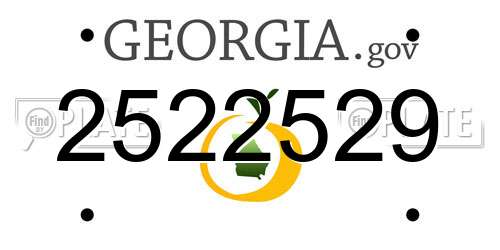 2522529 Georgia License Plate