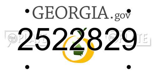 2522829 Georgia License Plate