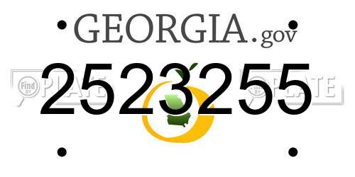 2523255 Georgia License Plate