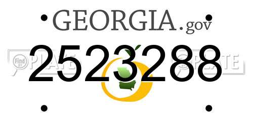 2523288 Georgia License Plate