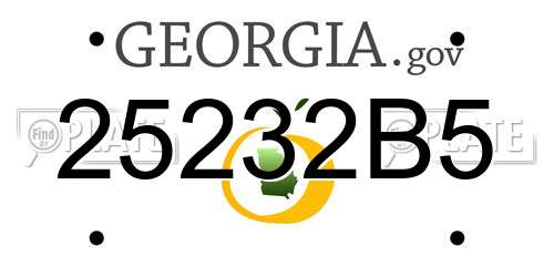 25232B5 Georgia License Plate